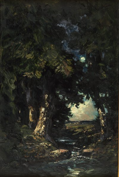 Sanderson&39;s Brook, Caldwell, Nova Jersey de Julian Rix